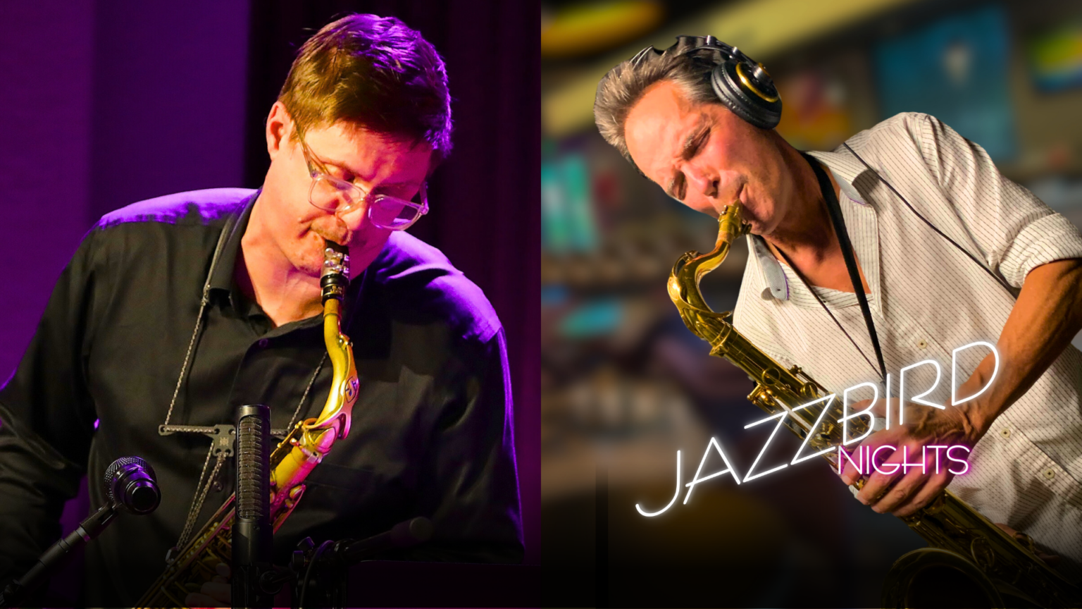 Jazzbird Nights